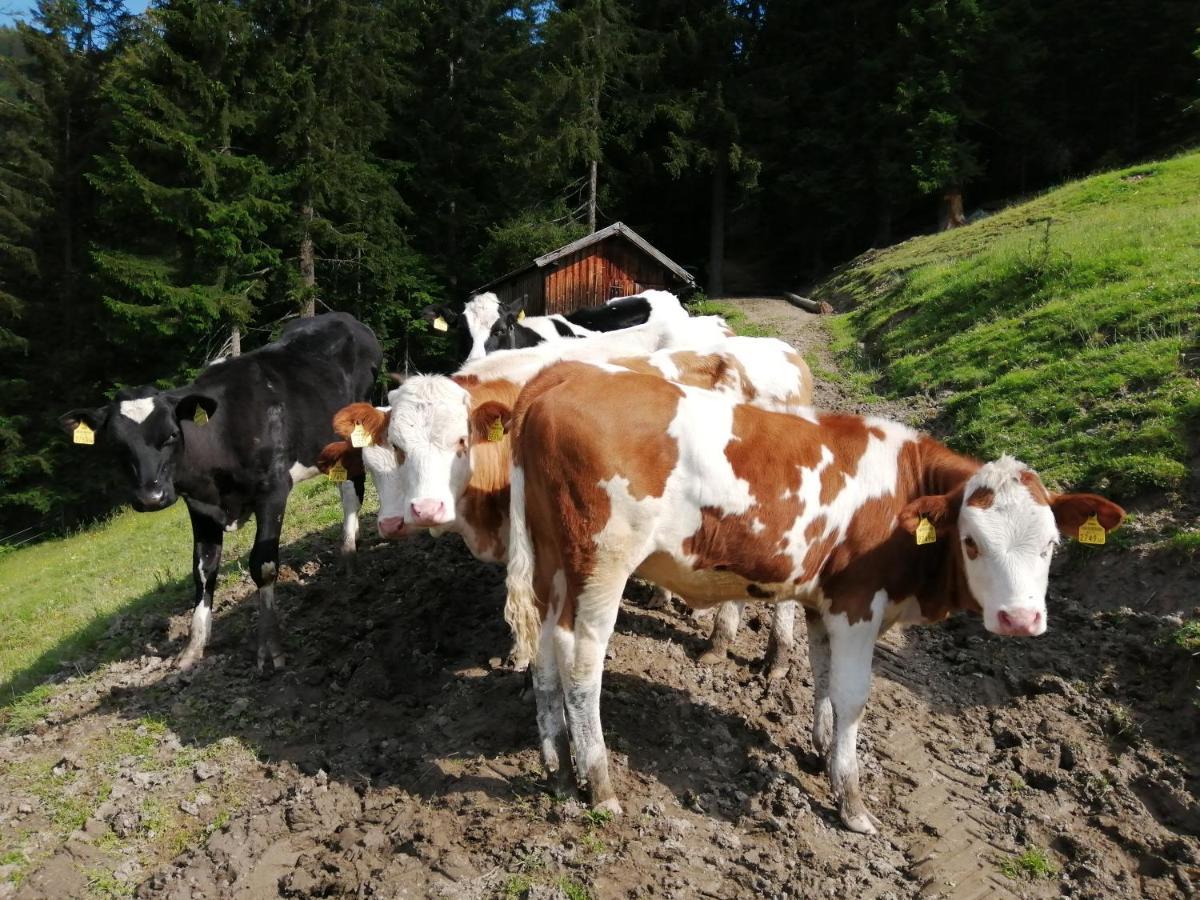 Berglerhof Filzmoos